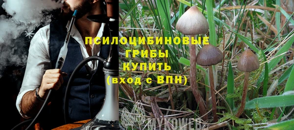 таблы Козельск