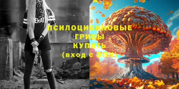 a pvp Кодинск