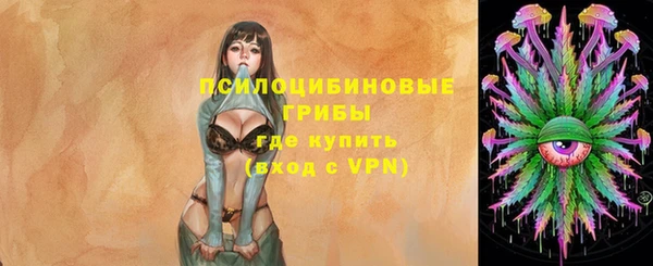 таблы Козельск