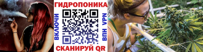 Купить  Анадырь  Конопля VHQ 